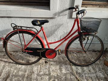 Bicicletta con cestino