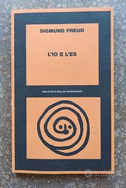 Testo Universitario Psicologia - L'IO e L'ES