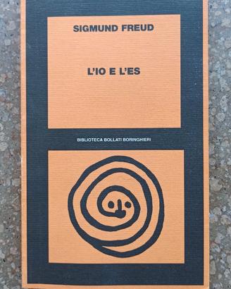 Testo Universitario Psicologia - L'IO e L'ES