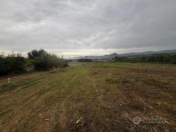 Terreno Agricolo Villamassargia