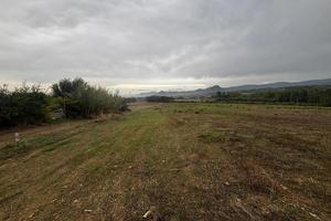 Terreno Agricolo Villamassargia