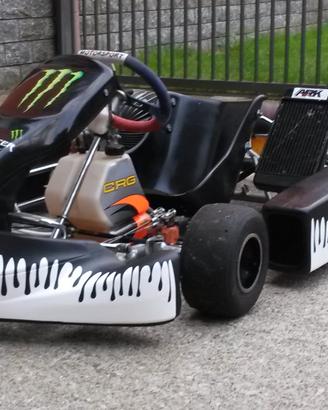 2008 crg go-kart