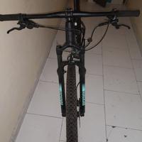 orbea alma h20