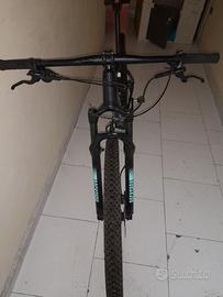 orbea alma h20