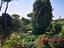 Immagine 25