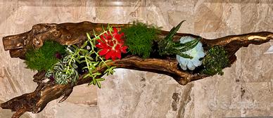 Tronco naturale scavato, pezzo unico