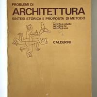 PROBLEMI DI ARCHITETTURA C. LUCCI CALDERINI 19
