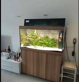 Acquario 350 lt
