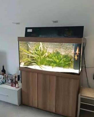 Acquario 350 lt