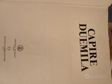 capire duemila  in inglese vintage 1977