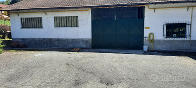 Capannone libero a disposizione