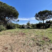 TER. AGRICOLO A ROMA