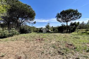 TER. AGRICOLO A ROMA