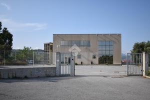CAPANNONE A TORREGROTTA