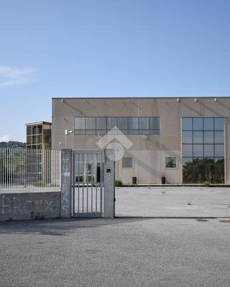 CAPANNONE A TORREGROTTA