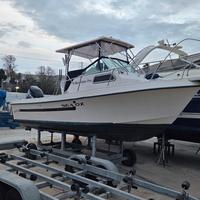 sea ox 230c valuto permuta 