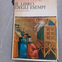 IL  LIBRO DEGLI ESEMPI