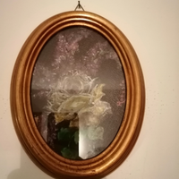 Cornici ovali con dipinto