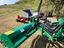 Immagine 5