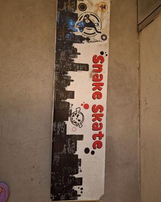 Skateboard 2 ruote