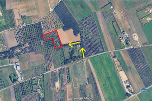 Terreno agricolo in località Carmiano (LE)