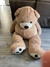 Orso di peluche