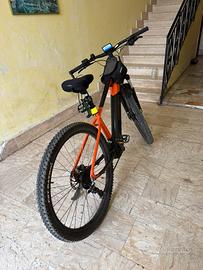 Bicicletta elettrica