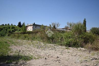 CAPANNONE A TORREGROTTA