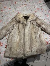 Pelliccia di volpe della Groenlandia