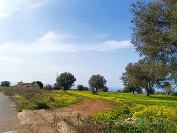 Permuto terreno panoramico a 7 minuti da Tropea