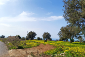 Permuto terreno panoramico a 7 minuti da Tropea