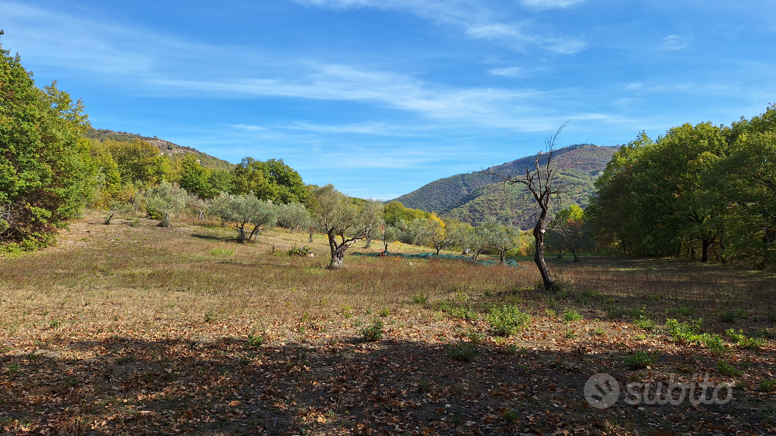 Terreno pianeggiante, da valutare fotovoltaico - Vista 4
