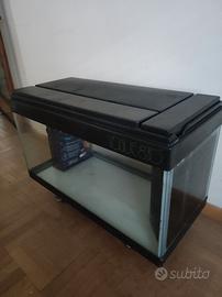 Aquario