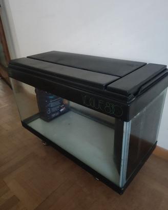 Aquario