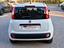 Immagine 6
