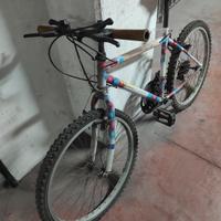 bicicletta 24 pollici 