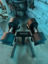 Pesi regolabili Kingsgym
