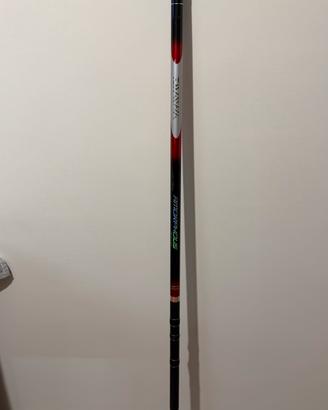 Canna bolognese daiwa amorphous AVP70-AI