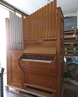 Organo a canne
