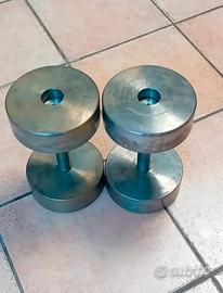 Manubri acciaio 20kg