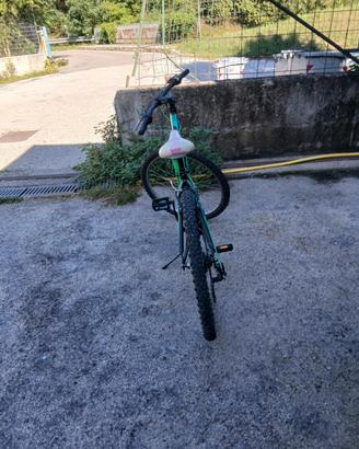 bici ragazzi 