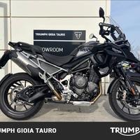 TRIUMPH Tiger 1200 GT Pro Abs