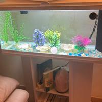 Acquario Ciano bianco con mobiletto