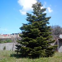 VALLE MARTELLA | Lotti di terreno edificabili | 1