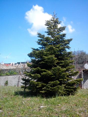 VALLE MARTELLA | Lotti di terreno edificabili | 1