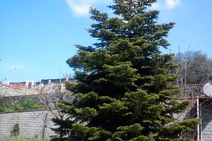 VALLE MARTELLA | Lotti di terreno edificabili | 1