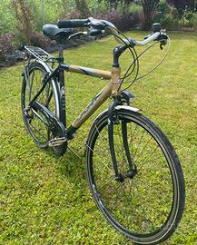 Bicicletta uomo Aurora