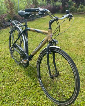Bicicletta uomo Aurora