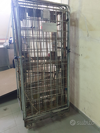 Roll container cesta milleusi con ruote