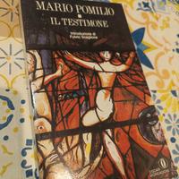 libro il testimone 